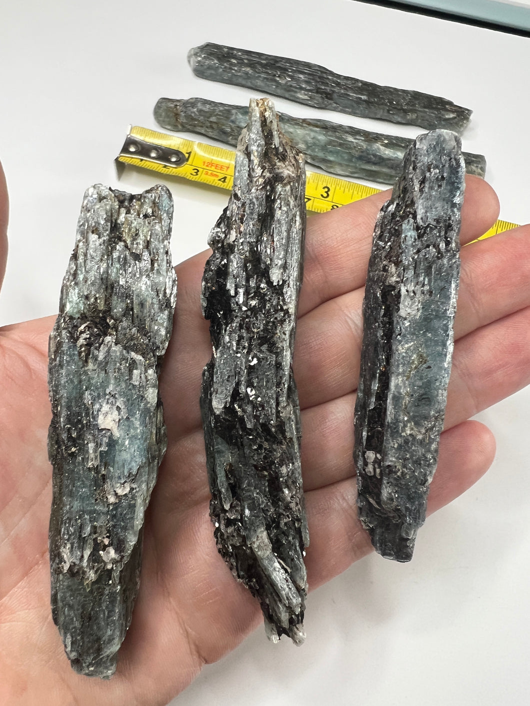 Blue Kyanite Blades - LG