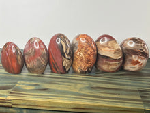 Load image into Gallery viewer, Petrified Wood Freeforms
