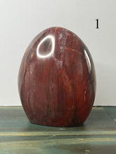 Load image into Gallery viewer, Petrified Wood Freeforms
