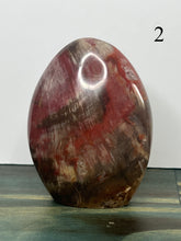 Load image into Gallery viewer, Petrified Wood Freeforms
