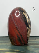 Load image into Gallery viewer, Petrified Wood Freeforms
