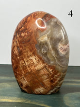 Load image into Gallery viewer, Petrified Wood Freeforms
