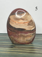 Load image into Gallery viewer, Petrified Wood Freeforms
