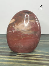 Load image into Gallery viewer, Petrified Wood Freeforms
