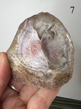 Load image into Gallery viewer, Sashe River Agate Nodules
