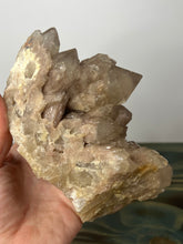 Load image into Gallery viewer, Natural Smokey Luena Cascading Phantom Quartz
