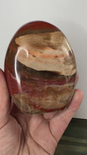 Load and play video in Gallery viewer, Petrified Wood Freeforms
