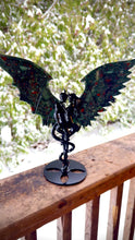 Load and play video in Gallery viewer, African Bloodstone Demon/Angel wings
