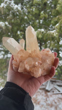 Load and play video in Gallery viewer, 1.13lb Himalayan Quartz Cluster
