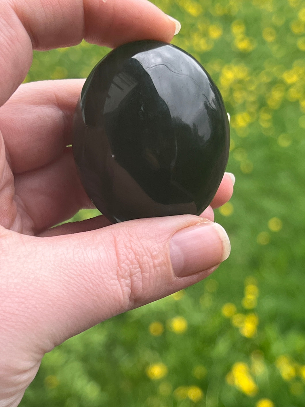 Silver Sheen Obsidian Palm