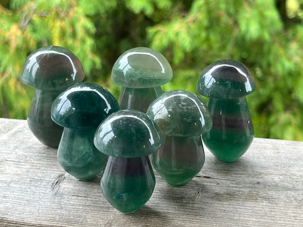 Fluorite Mushrooms