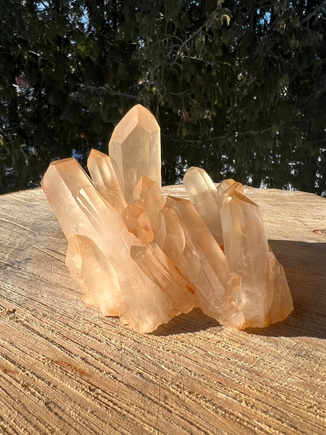 1.02lb Himalayan Quartz Cluster